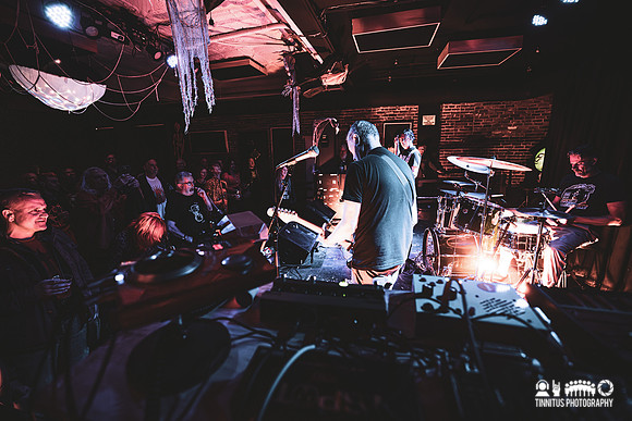 Minibeast in concert