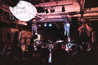 Minibeast in concert
