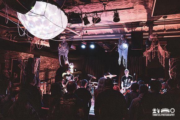 Minibeast in concert