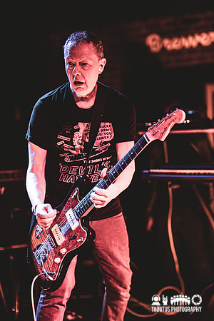 Minibeast in concert