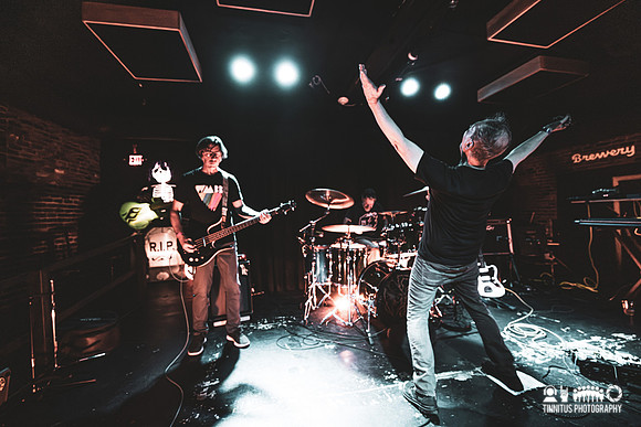 Minibeast in concert
