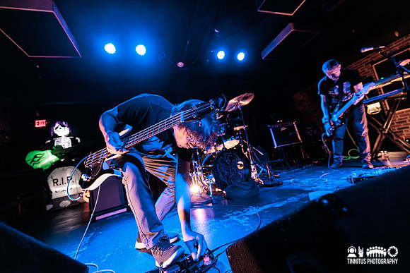 Minibeast in concert