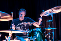 Minibeast in concert