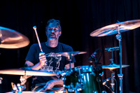 Minibeast in concert