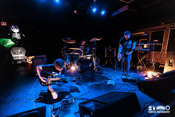 Minibeast in concert