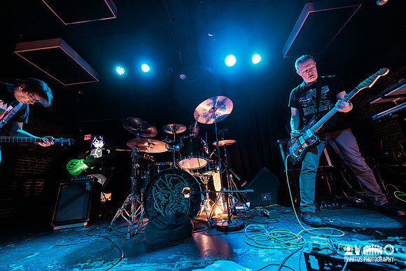 Minibeast in concert