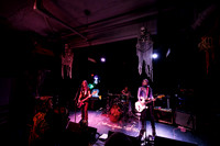 Linnea's Garden in concert