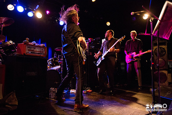 Swans in concert