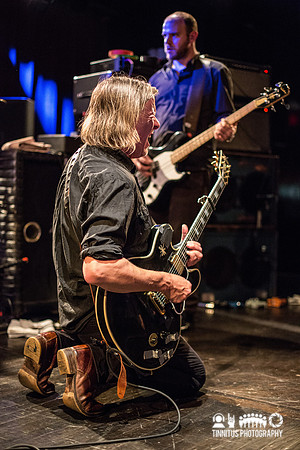 Swans in concert