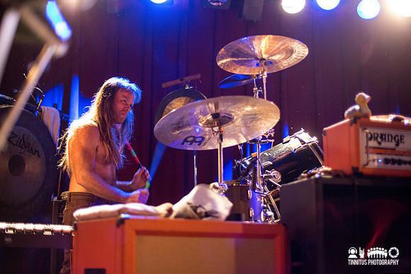 Swans in concert