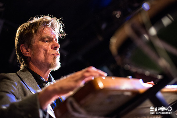 Swans in concert