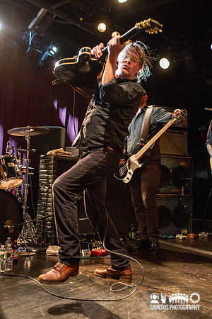 Swans in concert