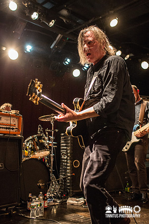 Swans in concert