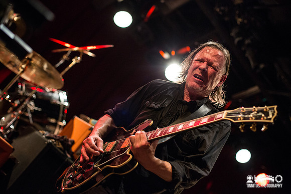 Swans in concert