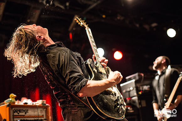 Swans in concert