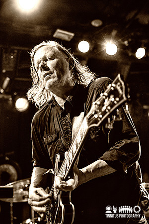 Swans in concert