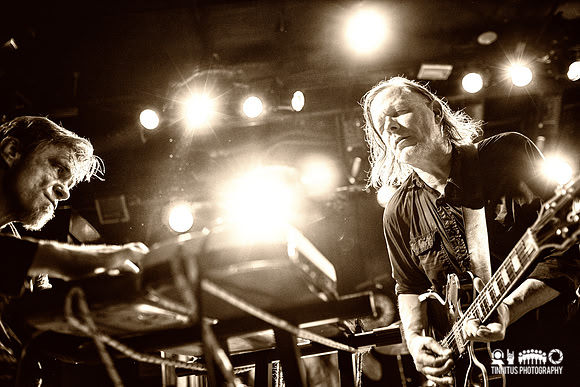 Swans in concert