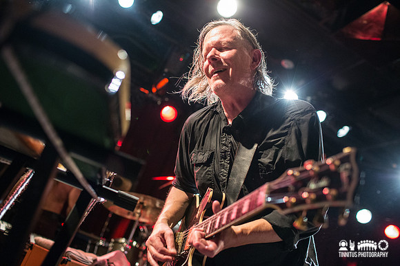 Swans in concert
