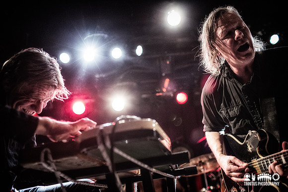 Swans in concert