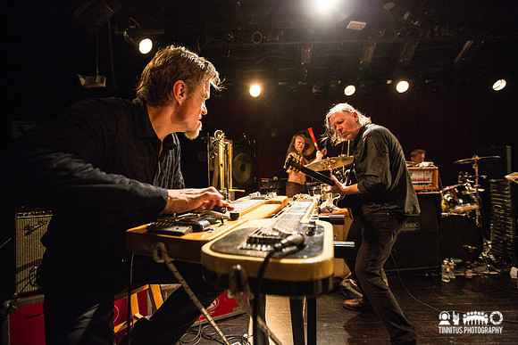 Swans in concert