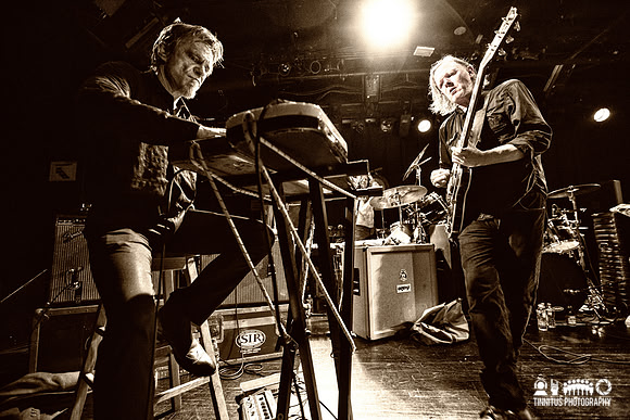 Swans in concert