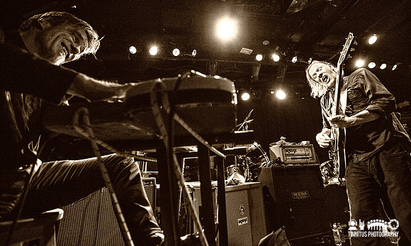 Swans in concert