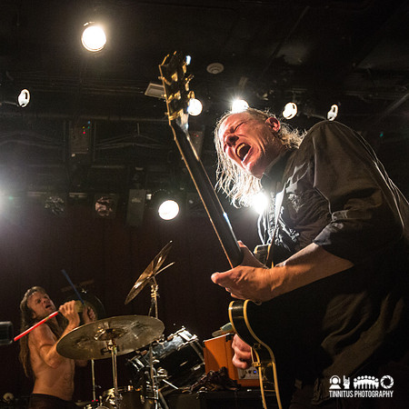 Swans in concert