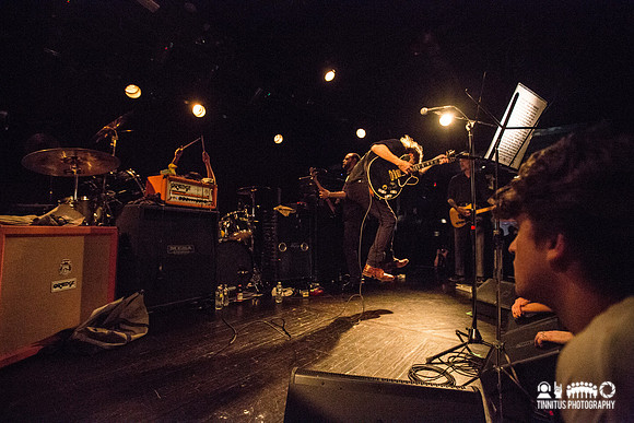 Swans in concert