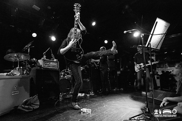 Swans in concert