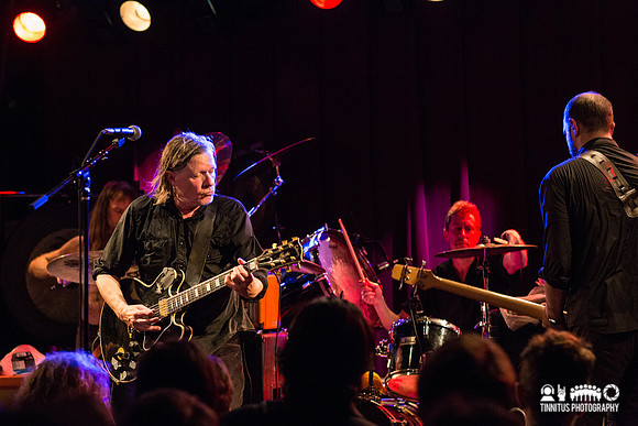 Swans in concert