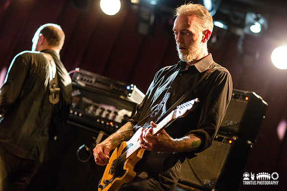 Swans in concert