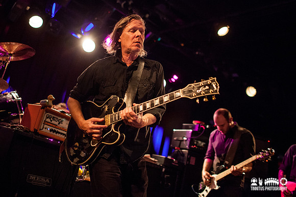 Swans in concert