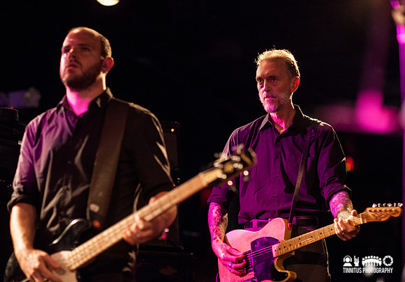 Swans in concert