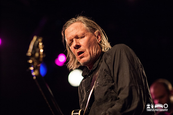 Swans in concert