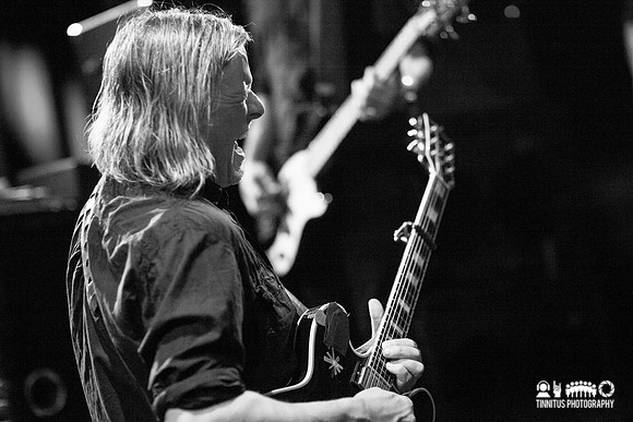 Swans in concert