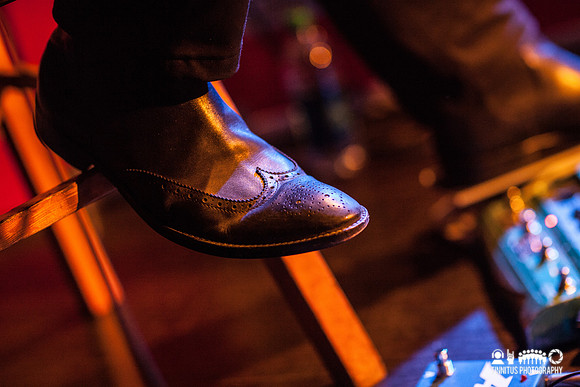 Swans in concert