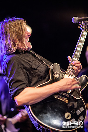 Swans in concert