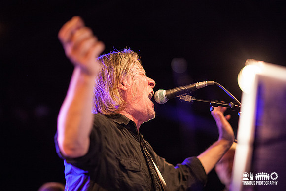 Swans in concert