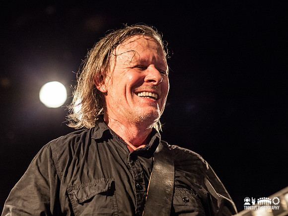 Swans in concert