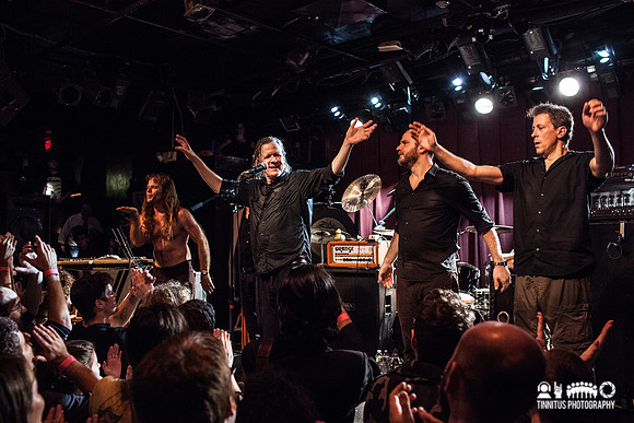 Swans in concert