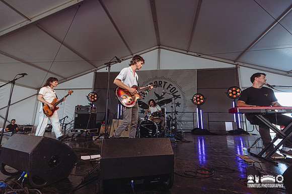 The Felice Brothers in concert