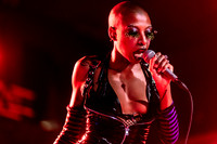 LustSickPuppy in concert