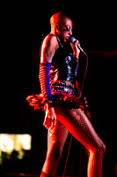 LustSickPuppy in concert