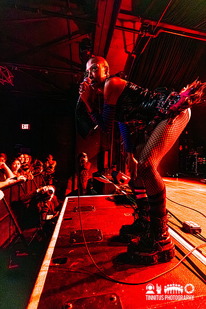 LustSickPuppy in concert