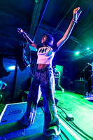 Pinkshift in concert