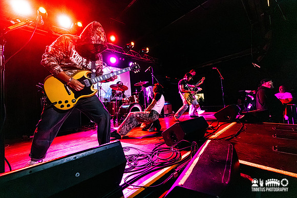 Pinkshift in concert