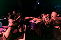 Pinkshift in concert