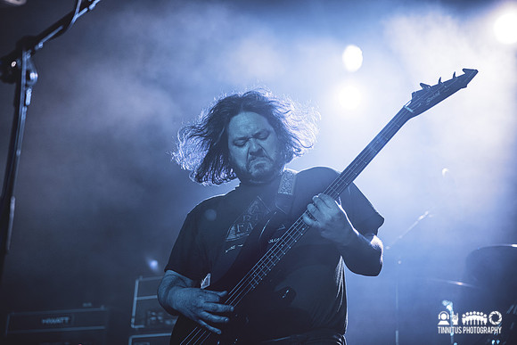 Elder in concert