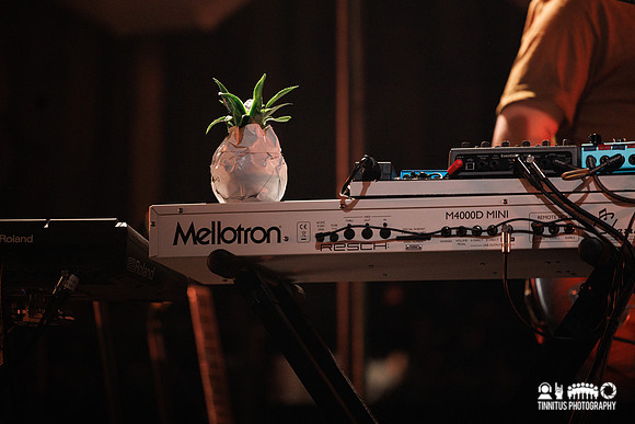 Of Monsters And Men in concert