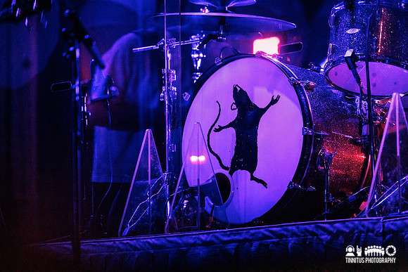 Of Monsters And Men in concert
